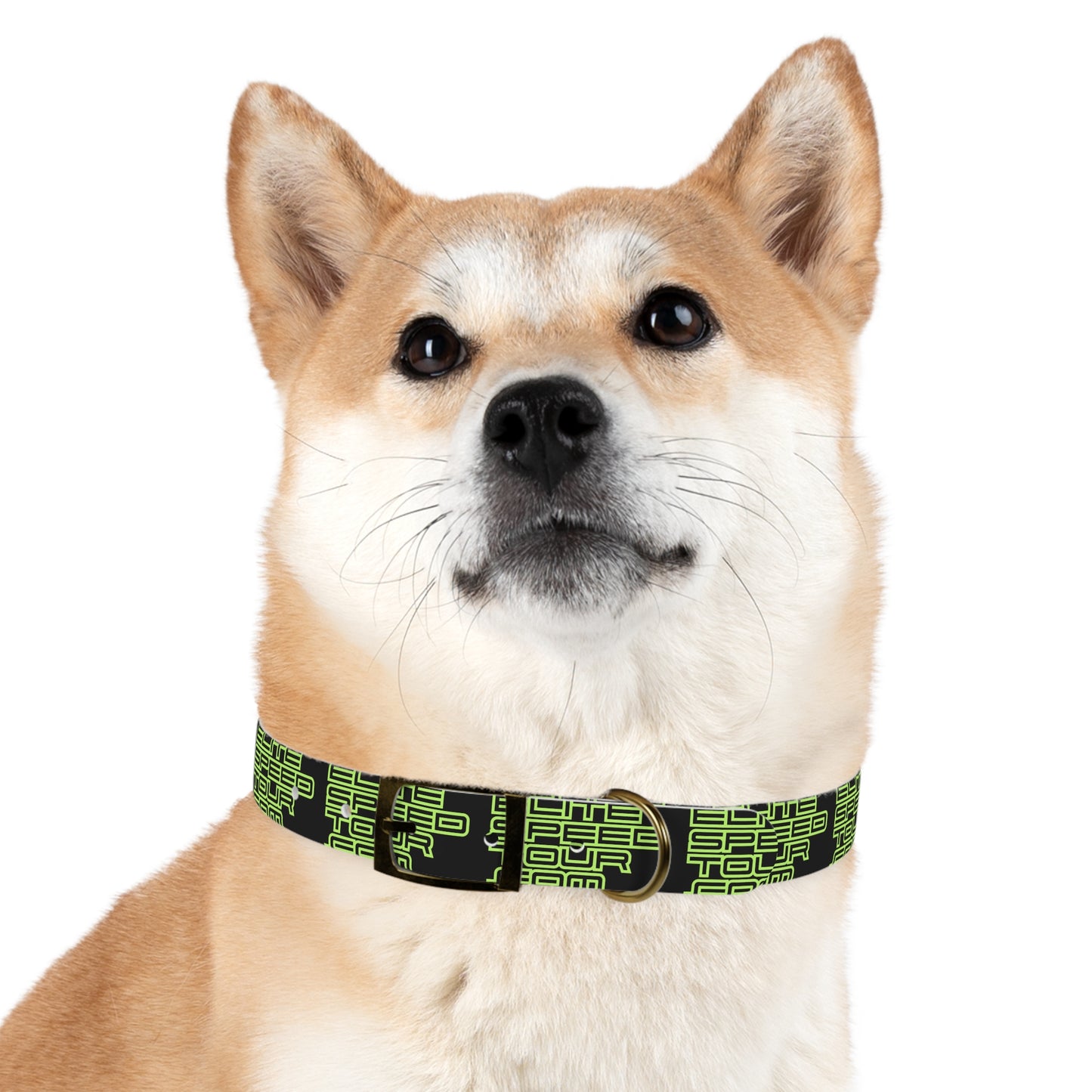 EST Dog Collar