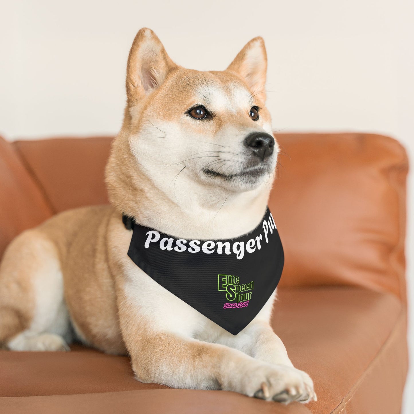 Passenger Pup Pet Bandana Collar - EST