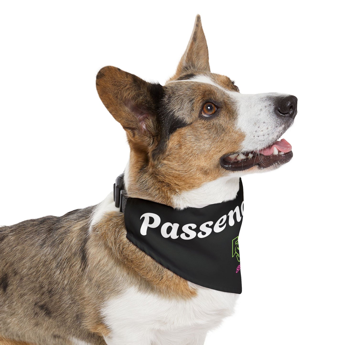 Passenger Pup Pet Bandana Collar - EST