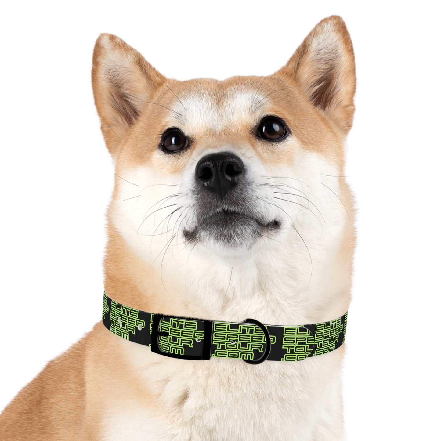 EST Dog Collar