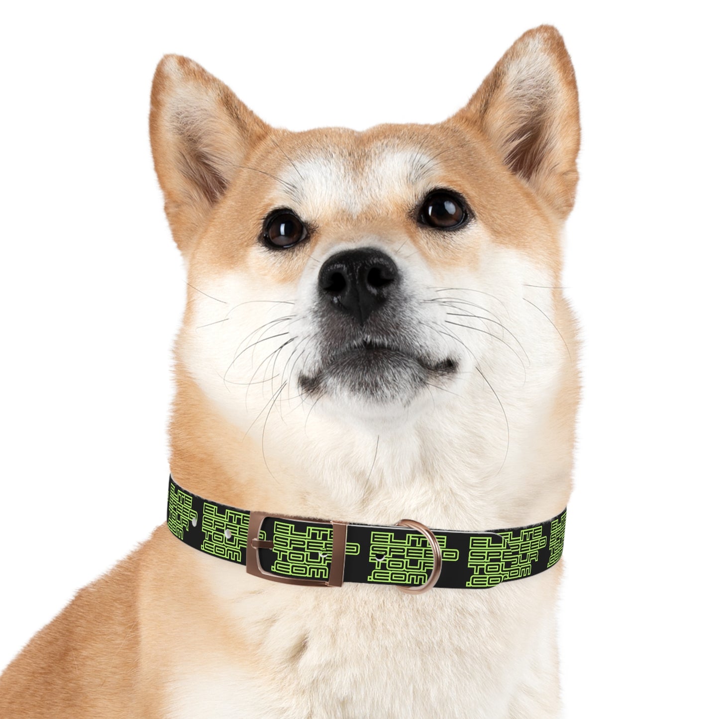 EST Dog Collar
